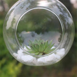 New Clear Round Hanging Glass Vase