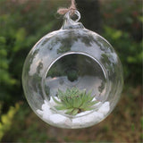 New Clear Round Hanging Glass Vase