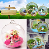 New Clear Round Hanging Glass Vase
