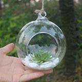 New Clear Round Hanging Glass Vase