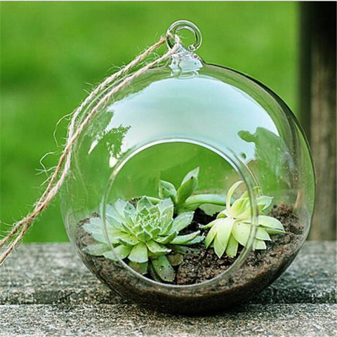 New Clear Round Hanging Glass Vase
