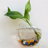 New Hanging Flower Pot Glass Ball Vase