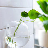 New Hanging Flower Pot Glass Ball Vase