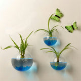 New Hanging Flower Pot Glass Ball Vase