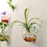 New Hanging Flower Pot Glass Ball Vase