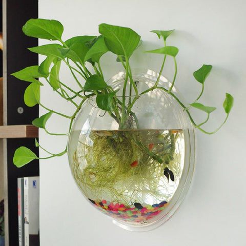 New Hanging Flower Pot Glass Ball Vase