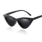 New Fashion Ladies Cat Eye Sunglasses
