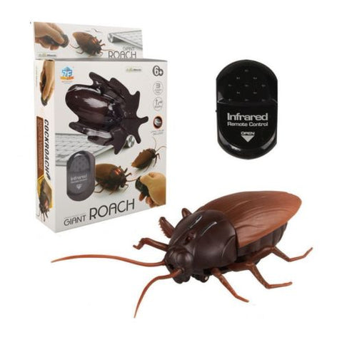 Giant Cockroach, Remote Control Cockroach, RC Cockroach, fun toy