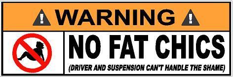 Warning No Fat "Chics" Chicks Sticker Decal