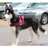 Adjustable No Pull Large Dog Harness w Handle No-Slip Fr Training Walking Hiking