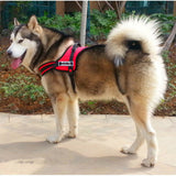 Adjustable No Pull Large Dog Harness w Handle No-Slip Fr Training Walking Hiking