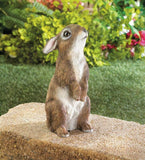 standing baby Bunny Rabbit outdoor yard garden lawn art decor statue sculpture