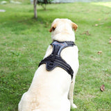 Heavy Duty-Padded Pet Dog Harness XL Large Medium Small Strap Vest Walk Out Led