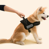 Working Dog Vest Service TRAINING Dog Harness Heavy Duty For Pitbull Boxer Husky