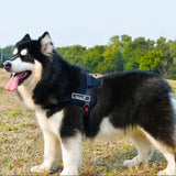 Pet Control Big Dog Soft Reflective No Pull Harness for Large Medium Small Dogs